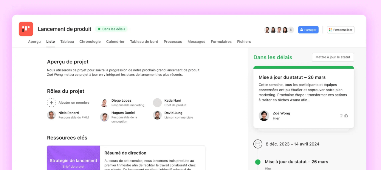 screenshot asana project management