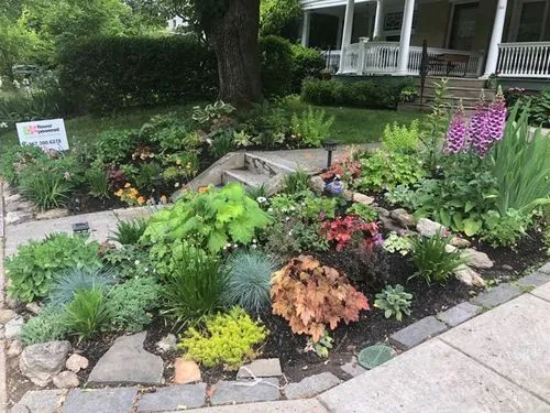 front yard landscaper in philadelphia
