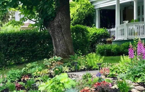 flower garden in west mt. airy philadelphia