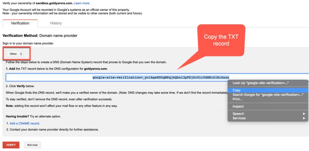 40. Copy the TXT record from Google Admin Console 1