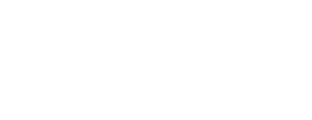 Partnership for Innovation