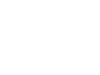 skylar security