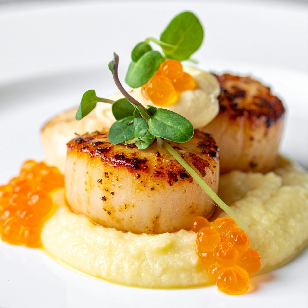 Seared Scallops
