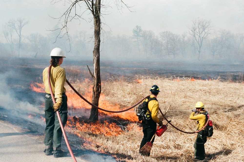 Prescribed Burning