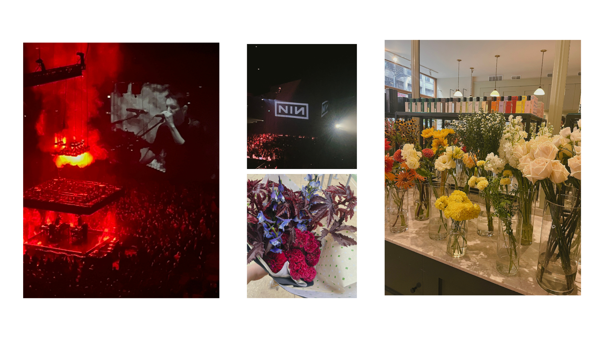 Nine Inch Nails concert stage featuring dramatic red lighting and industrial visuals during live performance. NIN logo prominently displayed on large concert venue screen with enthusiastic crowd below. Moody autumn bouquet arrangement with deep burgundy flowers and purple foliage in decorative vase. Field & Florist Chicago flower shop interior showcasing extensive perfume display with various fragrance bottles and fresh flower arrangements.