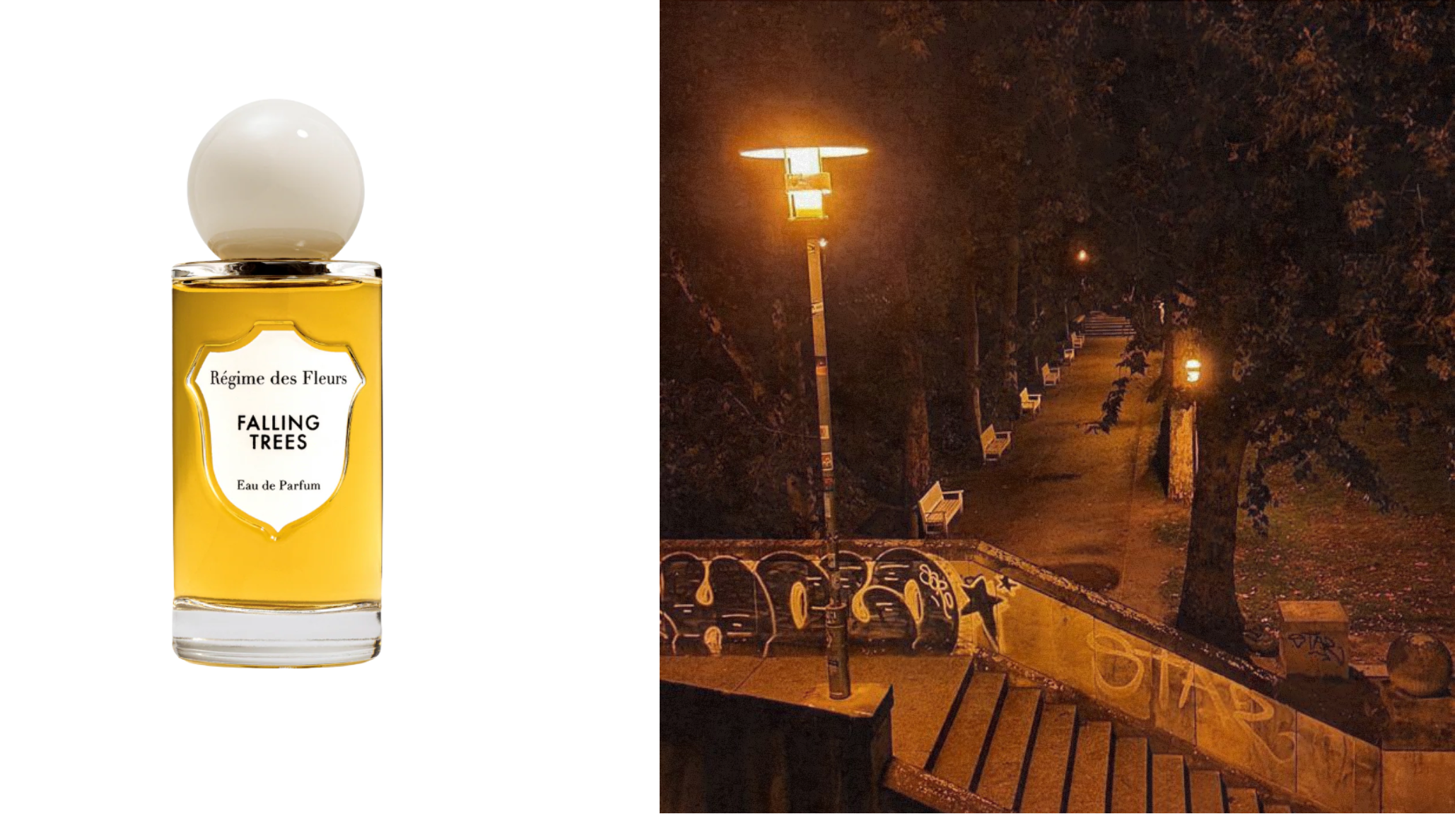 Regime des Fleurs Falling Trees autumn fragrance with moody street photography and warm lighting aesthetic