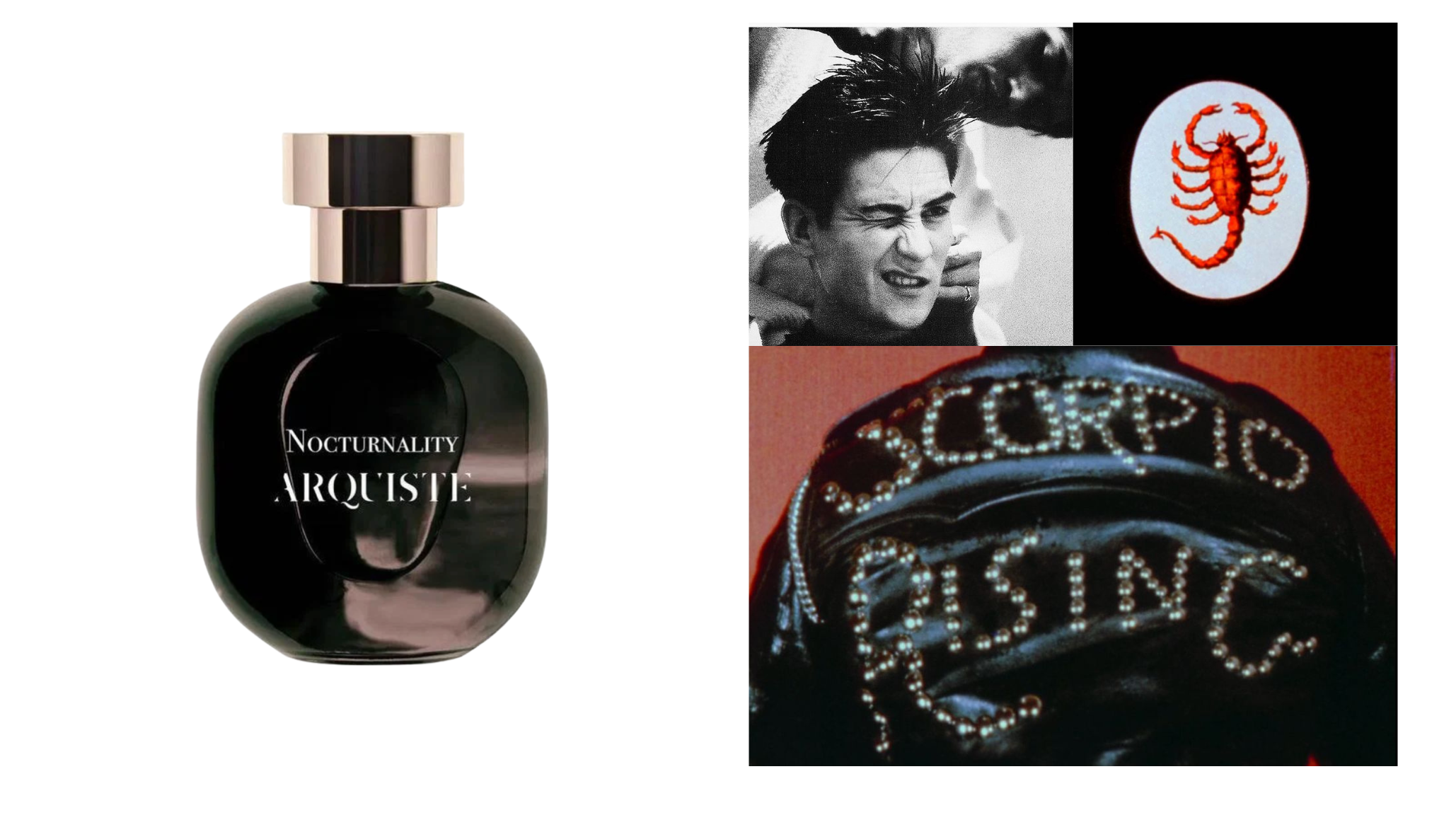 NOCTURNALITY by Arquiste leather perfume with cruising culture imagery and scorpion symbolism representing provocative niche fragrance