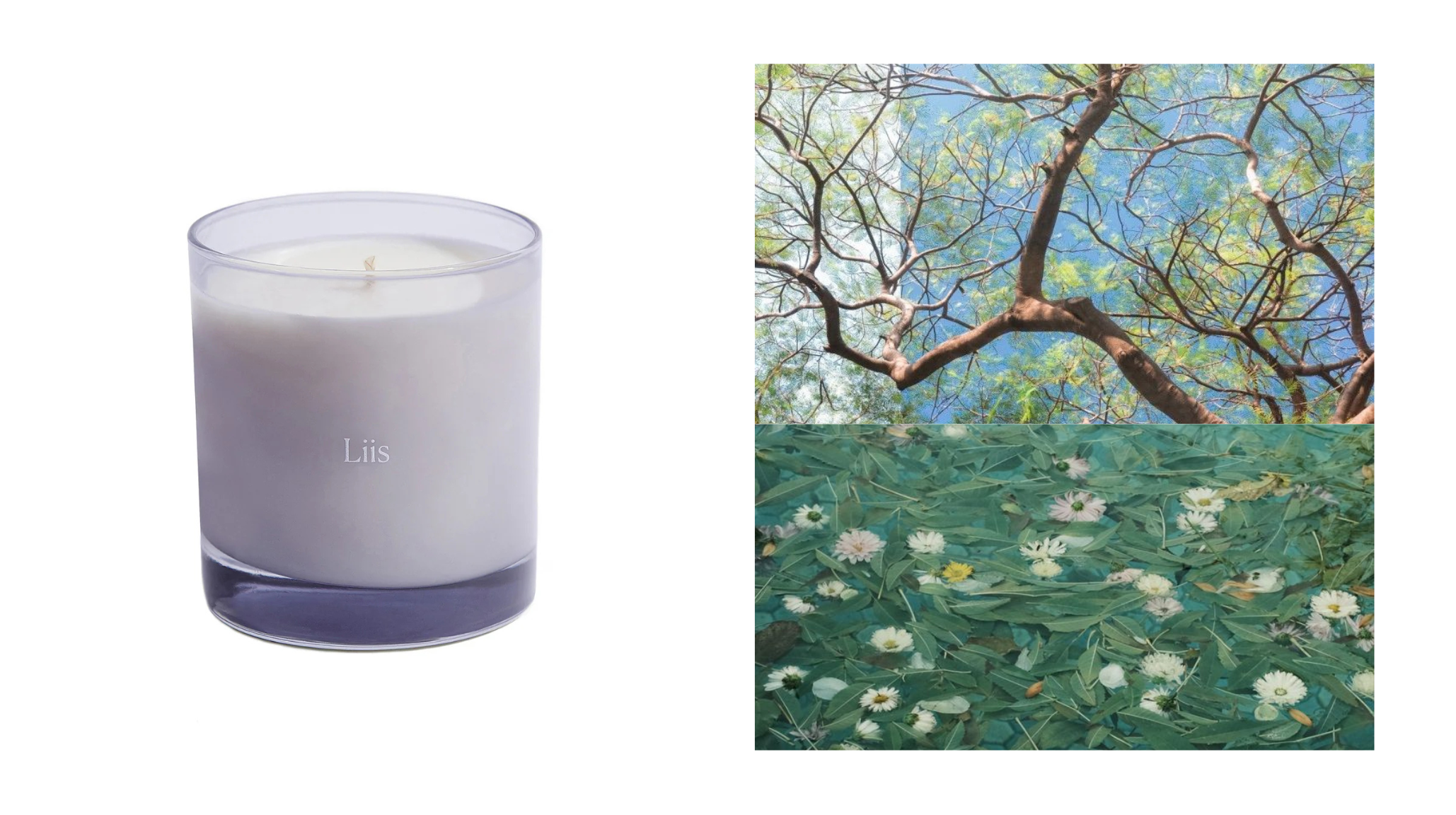 Liis candle in a soft lavender frosted glass vessel next to a nature moodboard of tree canopies and white daisies floating in water — best light spring candles for home