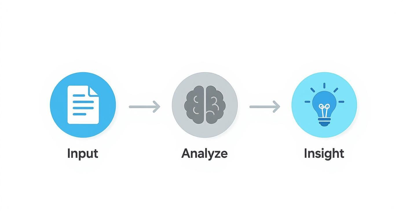 Three-step workflow diagram showing input document, brain analyzing data, and lightbulb insight generation process