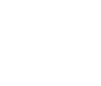 The Gut Co
