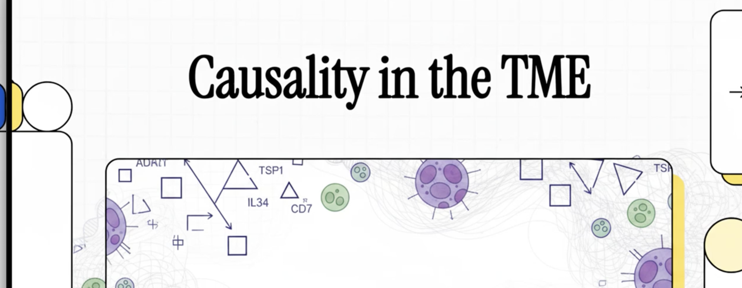 A short video on causality in cancer based on my research
