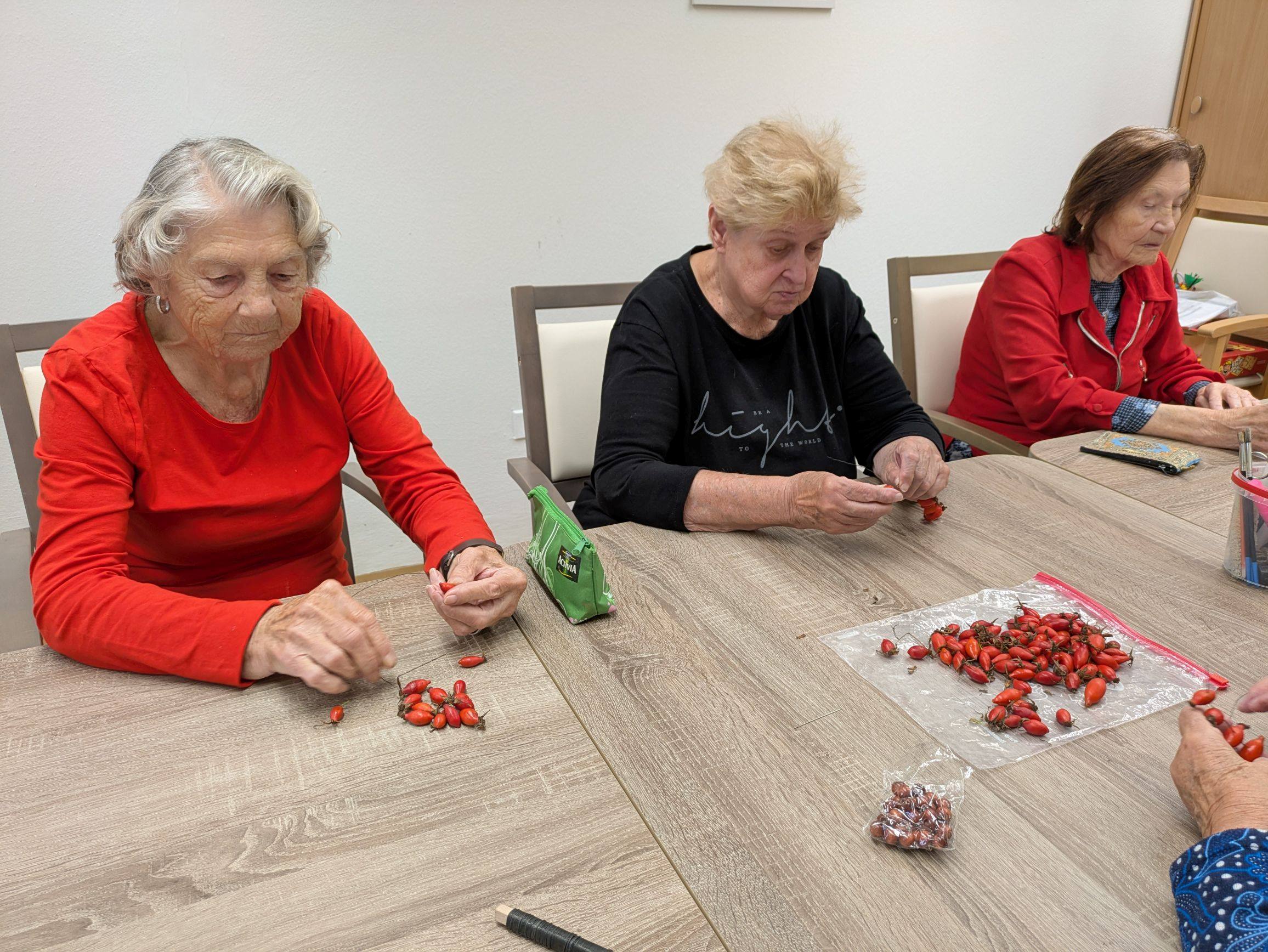 paní Hynštová a paní Ferebauerová