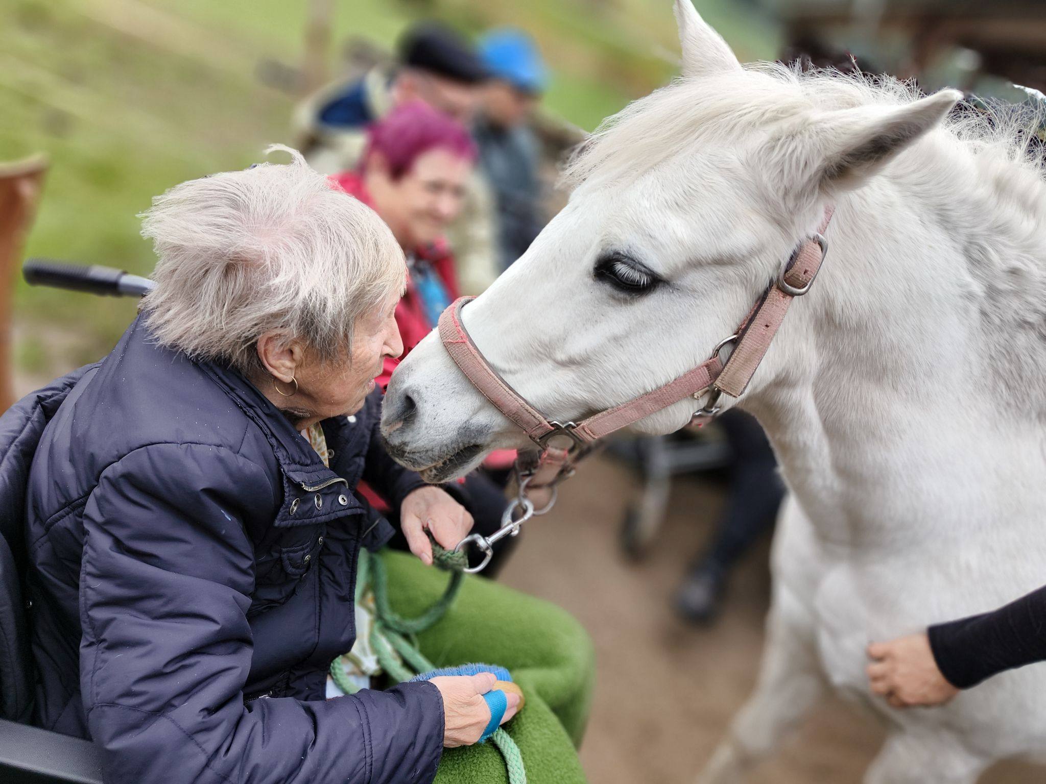 paní Valová navazuje kontakt s koněm