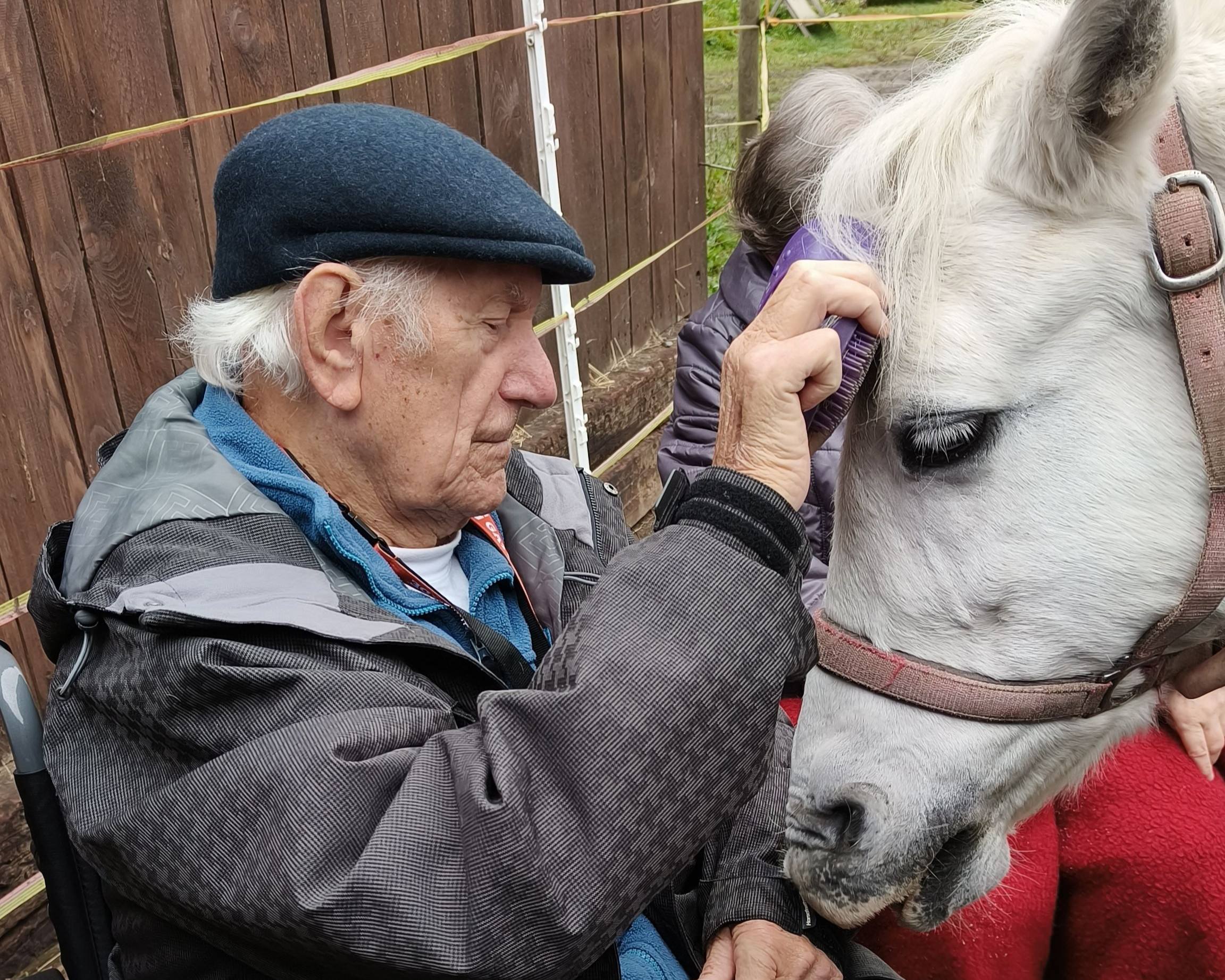 pan Novák si hladí koně