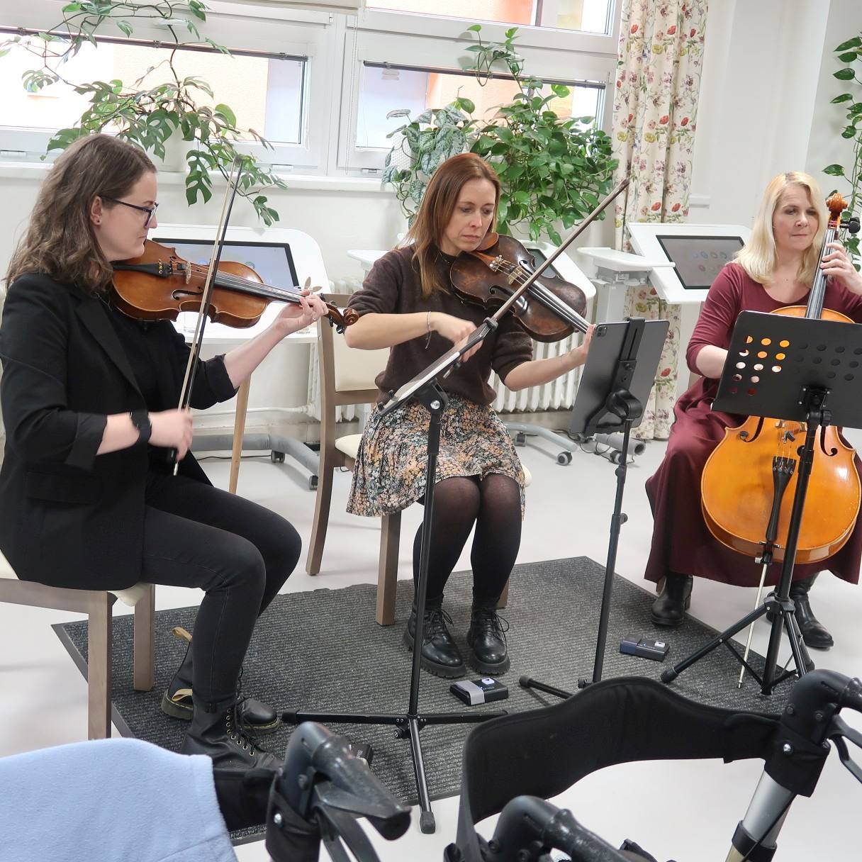 smyčcové trio 5