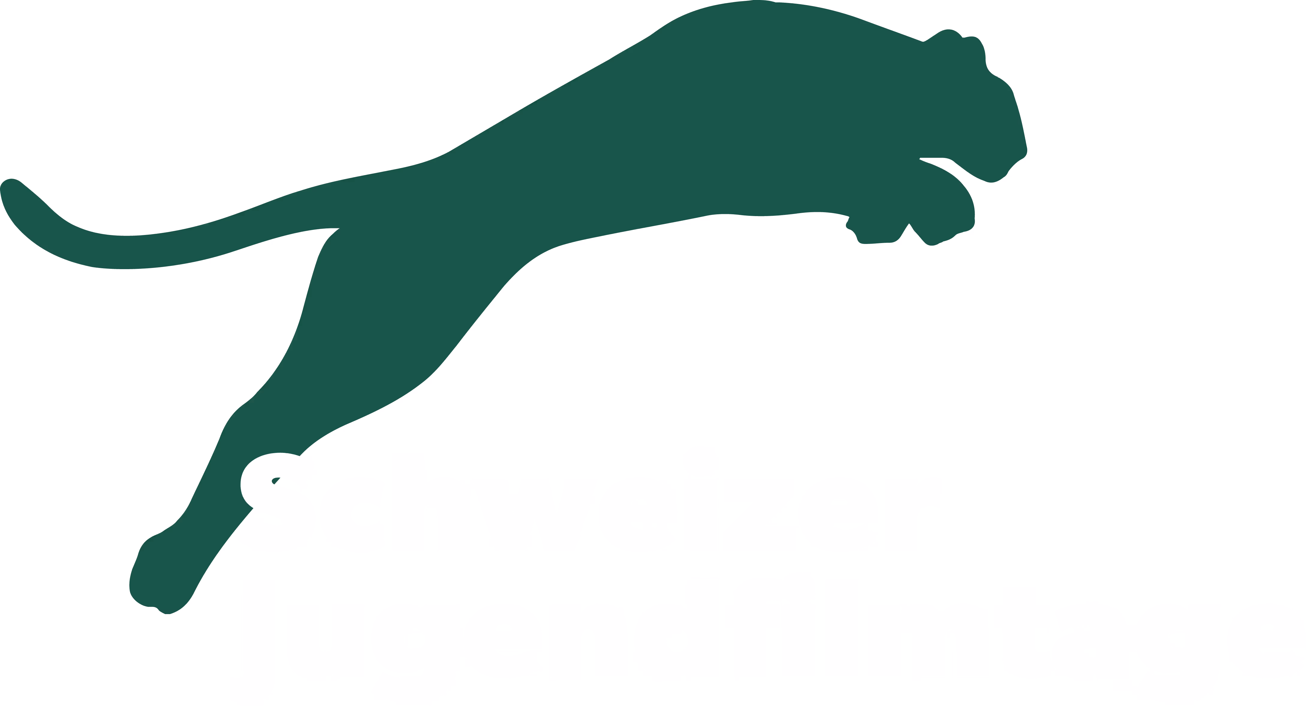 Das Logo der Schweizer Jugendfilmtage