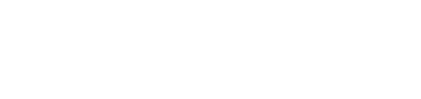 bonx customer bompani