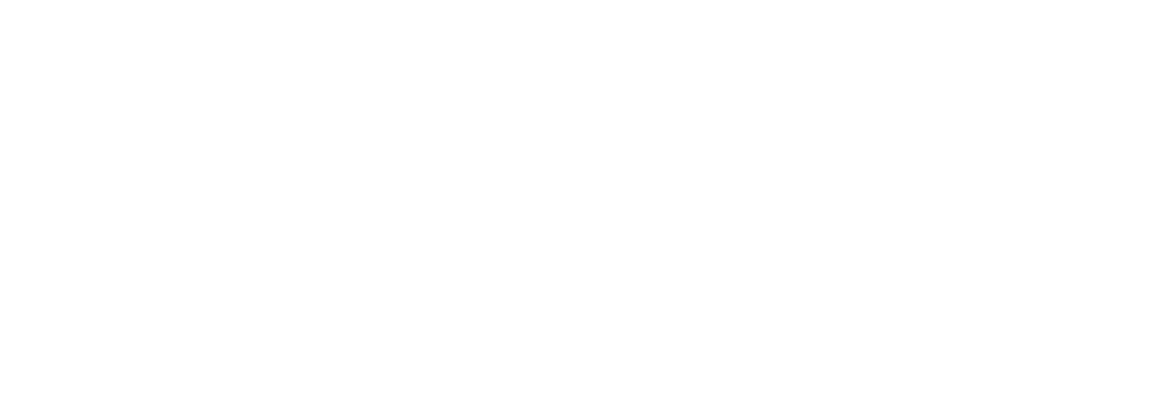 Wedze - Bonx customer