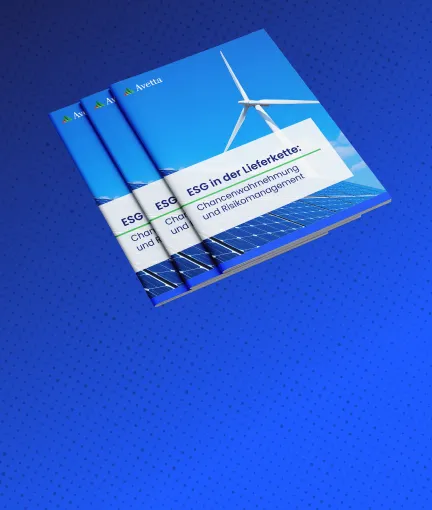ESG in der Lieferkette: Chancenwahrnehmung und Risikomanagement