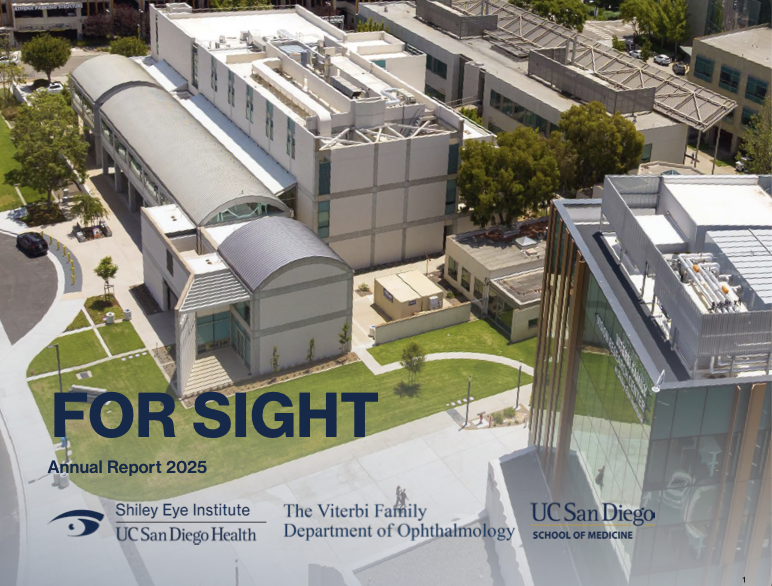 Annual Report: 2024 For Sight