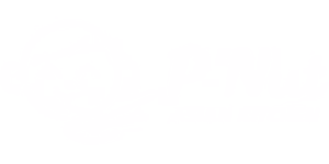 p'nut logo