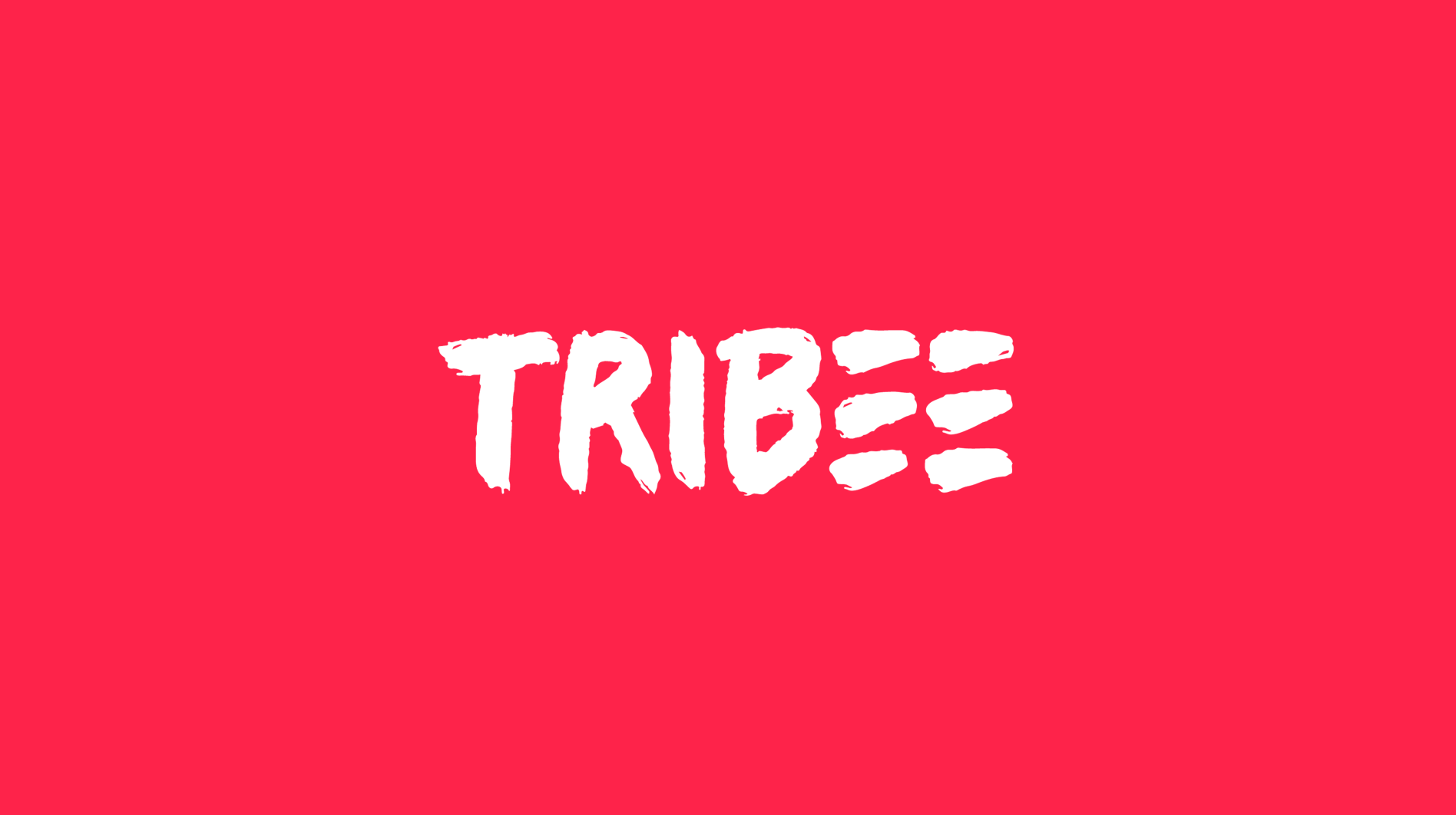 Tribee : quand l’innovation solidaire doit se conformer aux standards du secteur financier