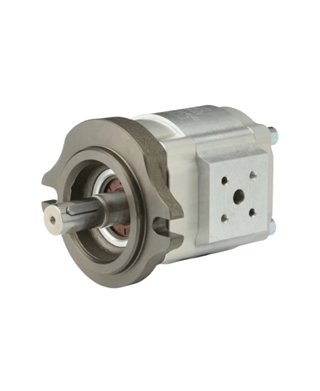 EIPS segment pump