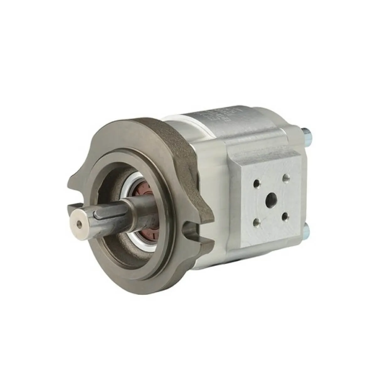 EIPS2-011RA04-1x S111 segment pump
