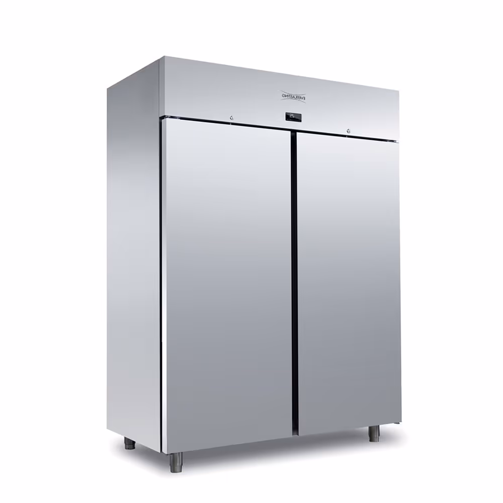 Everlasting BASIC GN2/1 Freezer Upright Solid Double Door