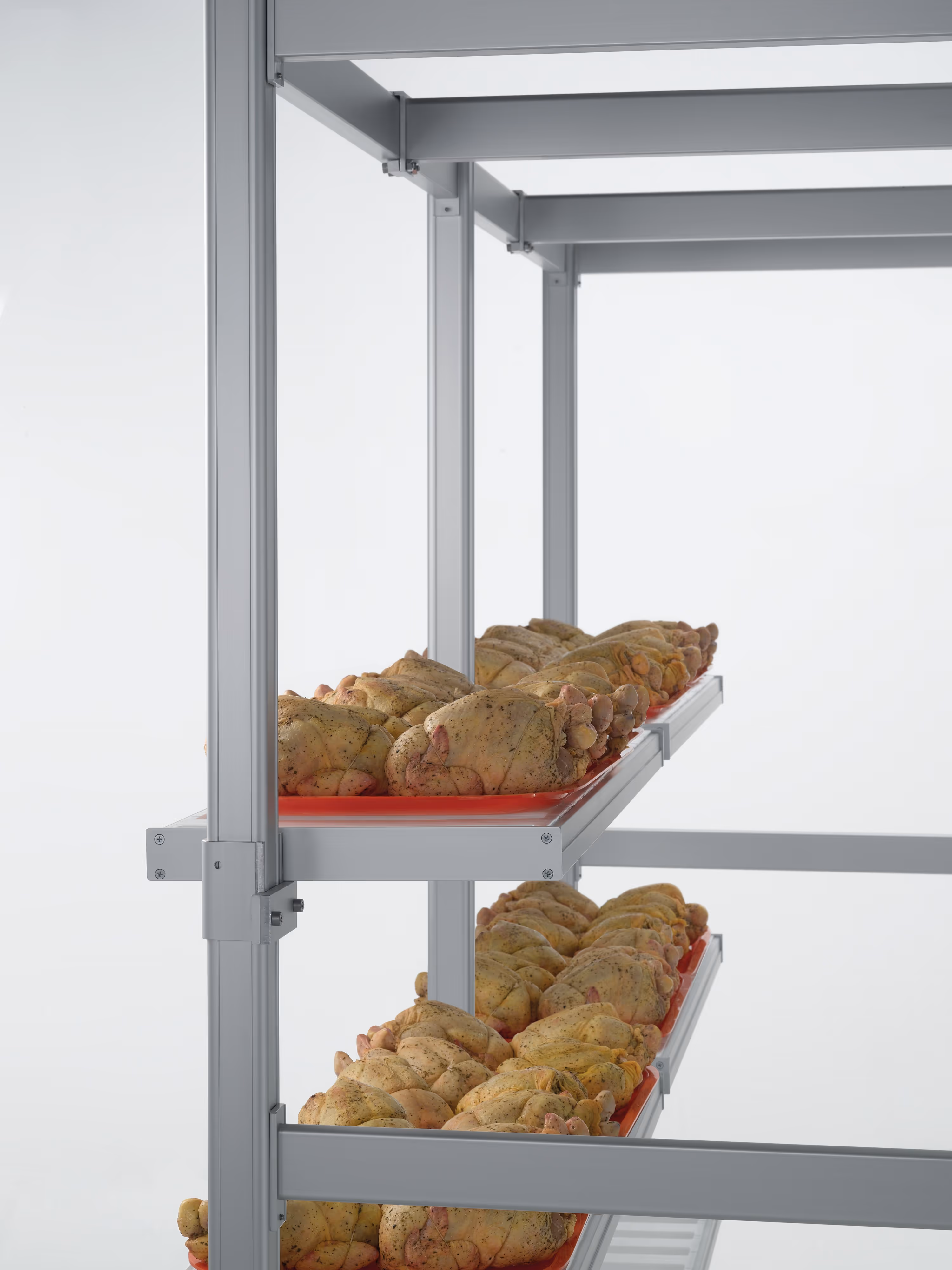 Meat Hanging Frame System 