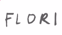 Customer Logo