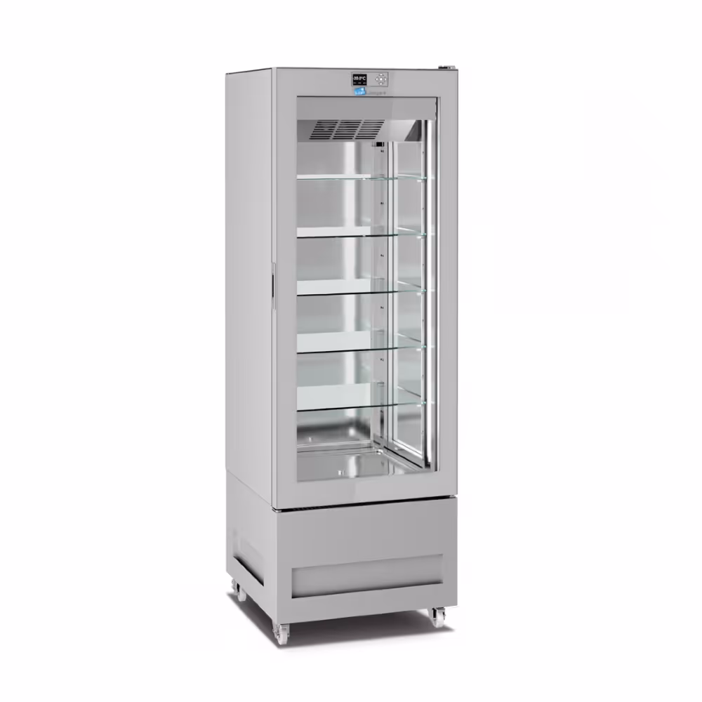 Longoni 65-L Frozen Display Case