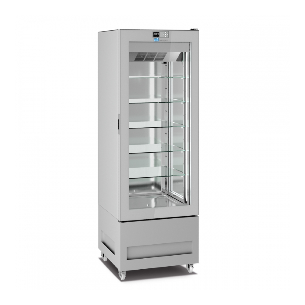 Longoni 65-L Frozen Display Case