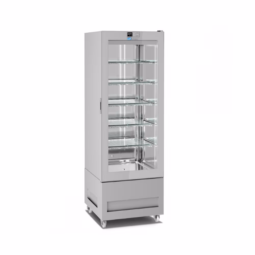 Longoni 65-L Ice Cream Display Case