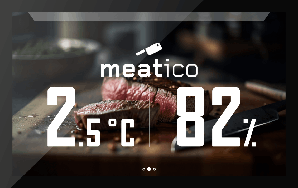 Everlasting Meatico Meat 700 Inox Meat Dry Aging Fridge Cabinet Single Stainless Steel Door