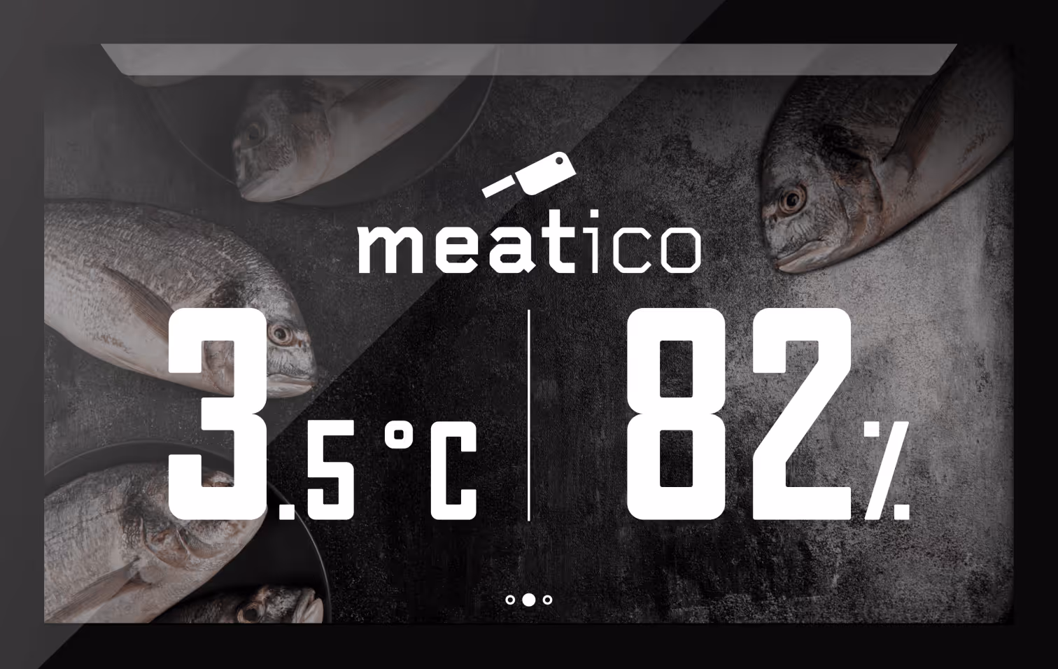 Everlasting Meatico FISH 400 Black Fish Dry Aging Refrigerated Cabinet Glass Door