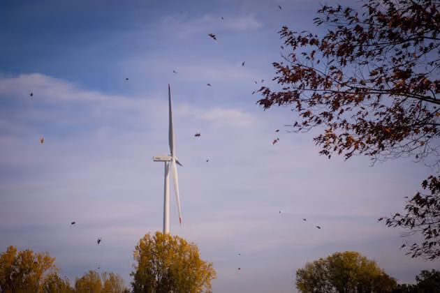 We welcome 160 local residents who participate in the wind farm in Meer.