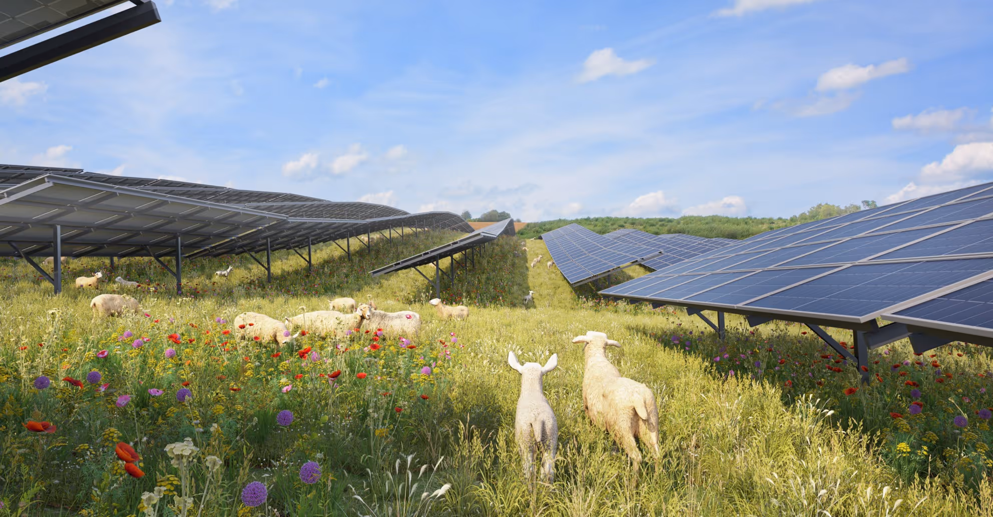 Storm développe l’aménagement d’un parc solaire agrivoltaïque de 10,5 ha dans une zone située à proximité du village de Pellaines, le long de l’E40 et de la voie ferrée. Le site sera transformé en pâturage ovin, géré par des agriculteurs locaux déjà actifs sur les parcelles. Compte tenu des phénomènes d’inondation fréquents existants, des mesures de gestion des eaux de type noue (fossé d’infiltration naturel) seront mises en place afin d’améliorer la gestion des eaux de pluie. Par ailleurs, le passage à un couvert végétal permanent (prairie de pâturage) permettra déjà d’améliorer significativement la situation.