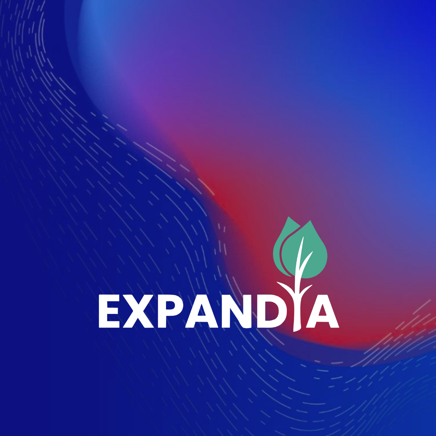 Image of a library, representing a learning environment for research and collaboration between academic experts and sustainability practitioners.