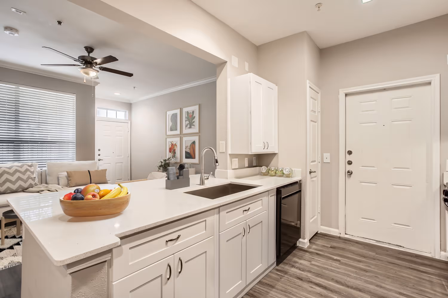 kitchen and entrance of apartment home