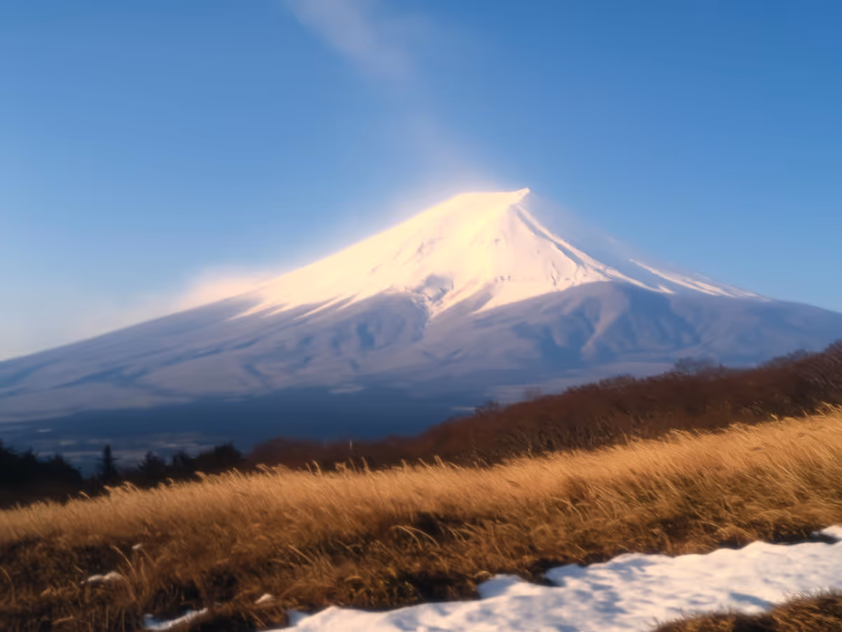 Snow-capped mountain with golden grass and patches of snow in the foreground under a clear blue sky.