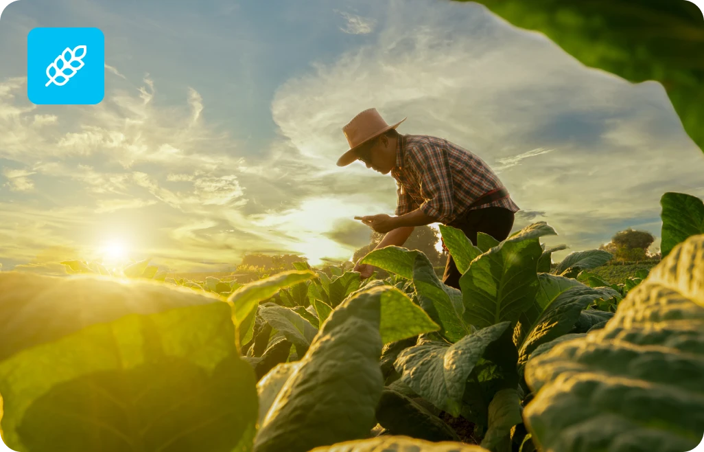 SDS Expertise for Fertilizers, Pesticides, and Agricultural Chemicals