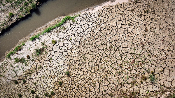 De zomer van 2025 was erg droog