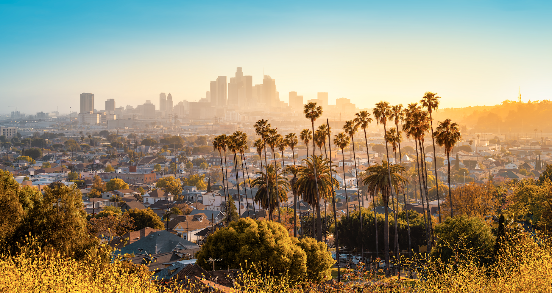 2025 Healthiest Employers of California