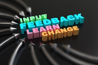 Input, feedback, learn and change