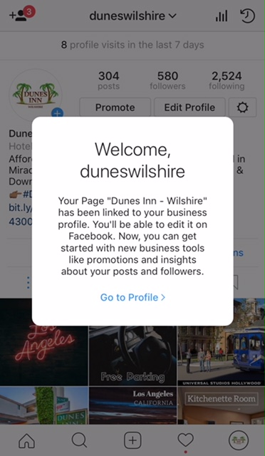 what your instagram business profile will look like