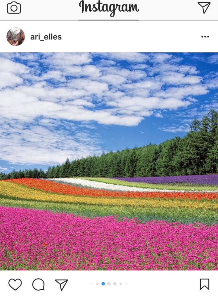 double checking multiple photos and videos on instagram