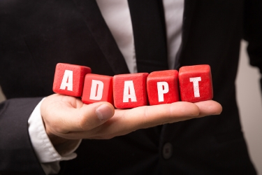 Adapt and Overcome