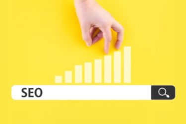 SEO Search Bar