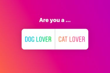 Instagram Poll Example - Dog Lover or Cat Lover?